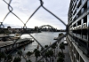 Sydney Harbour Bridge behind a chain link fence