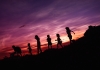 Silhouette of children playing at sunset