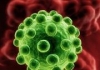 Virus hiv inside