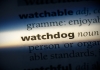 Watchdog dictionary definition