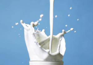 UNSW researchers are working to minimise the adverse health effects of allergens in milk (Credit: US National Institute of Health)