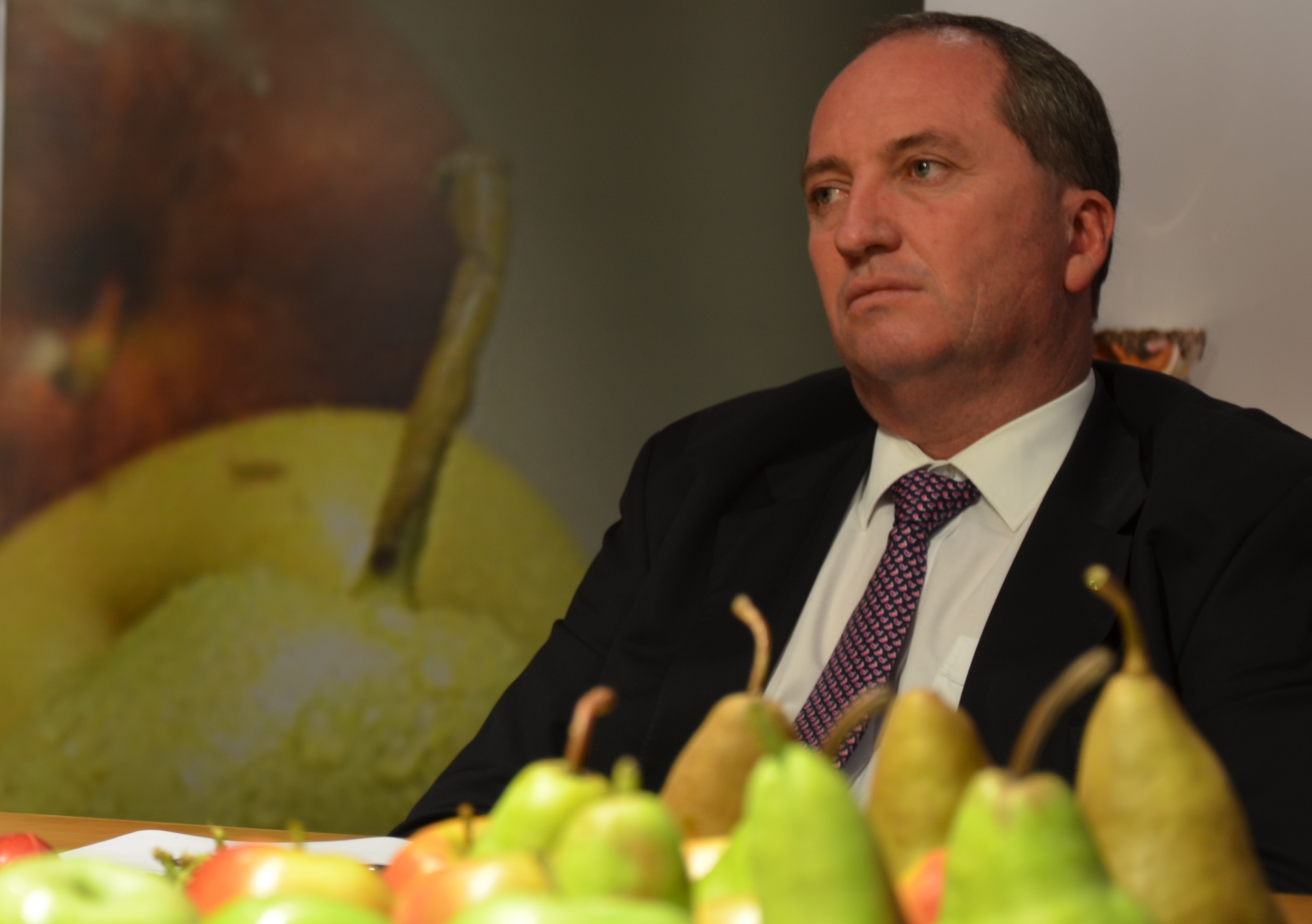 Attention has focused on Barnaby Joyce but he was only one party to the affair. Photo: Flickr cc