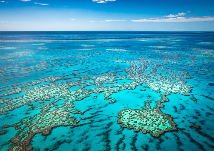 There is a push to recognise the Great Barrier Reef as a living entity with legal rights. Photo: Shutterstock