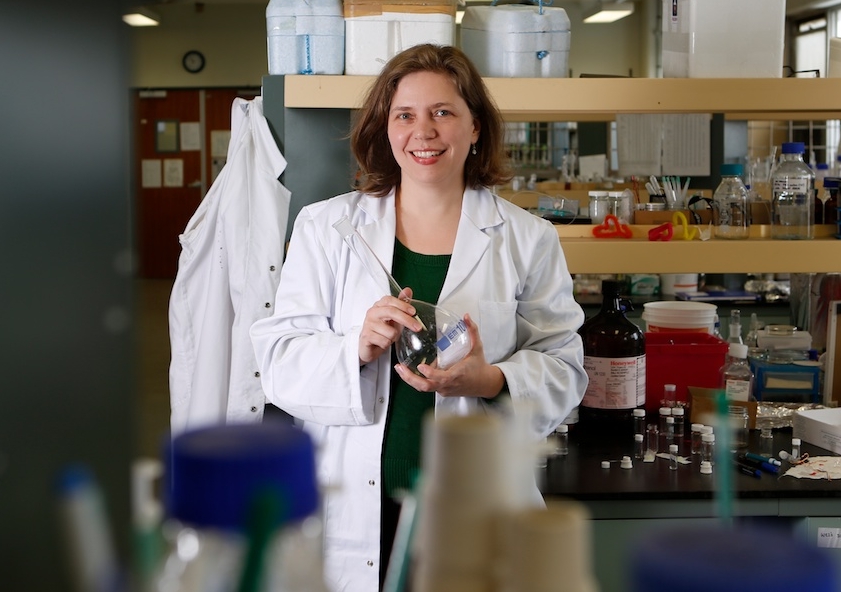 Professor Martina Stenzel, from UNSW’s Centre for Advanced Macromolecular Design, leads a research team building a range of remarkable polymer nanoparticles to target and destroy cancer cells. Photo Quentin Jones