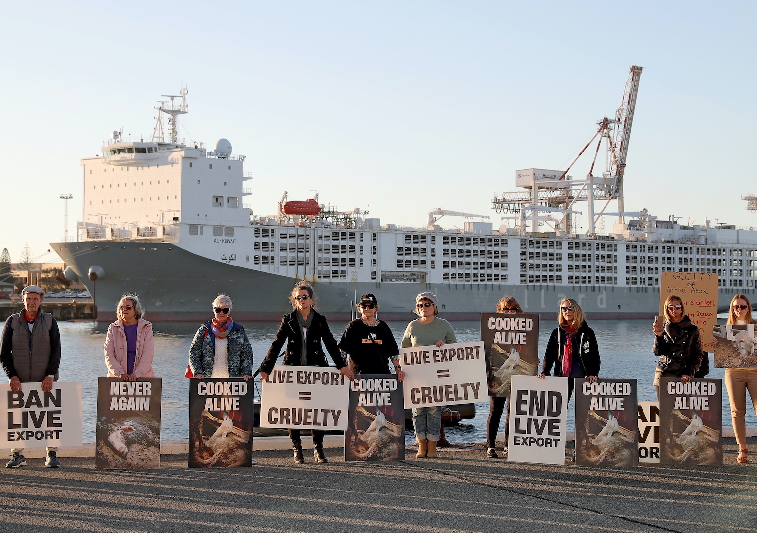 Animal welfare protesters rally in front of a live export ship in Fremantle harbour, June last year. Photo: AAP Image/Richard Wainwright