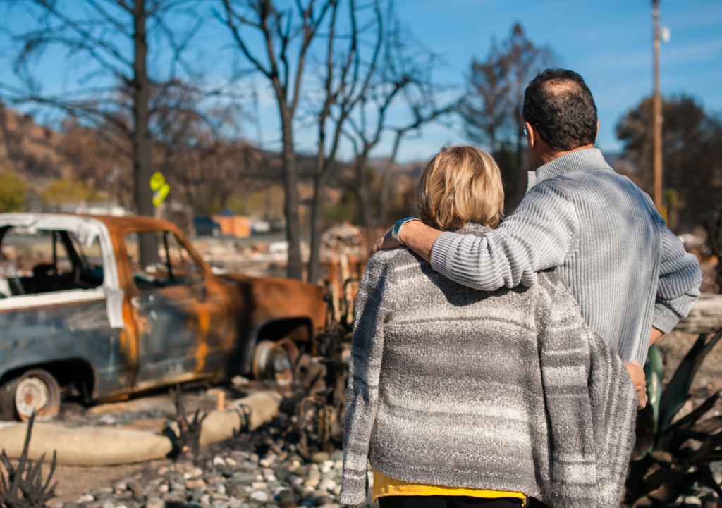 More than 11 million hectares were devastated, and insured losses were estimated at up to AU $1.9 billion during Australia&#039;s bushfire crisis in 2019. Image: Shutterstock
