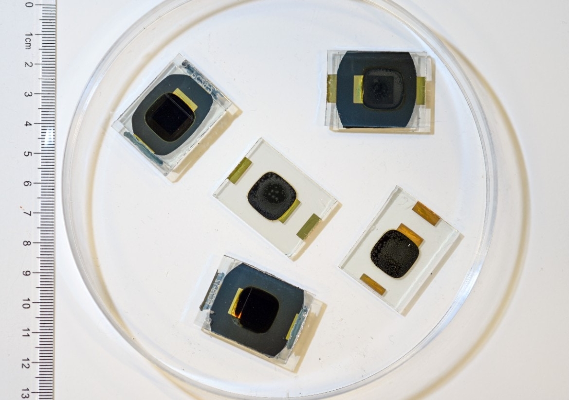 A sample of some of the perovskite cells used in the experiment. Photo: UNSW
