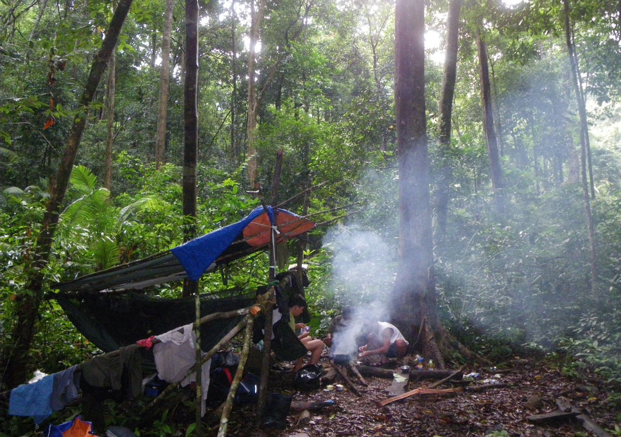 forest_camp_vietnam_credit_jodi_rowley.jpg