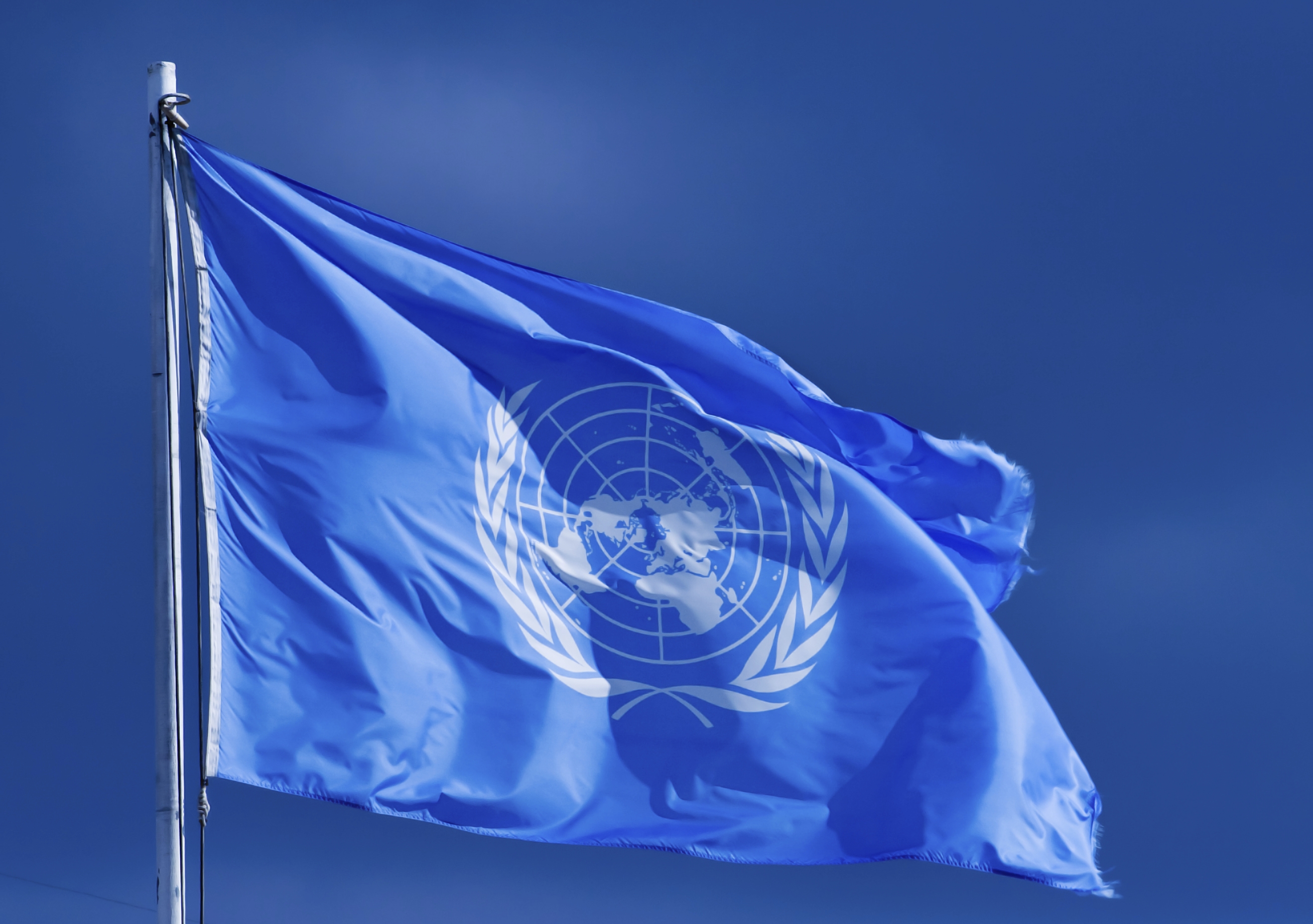 United Nations flag. Image: iStock