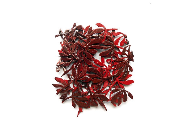 Brooch in blood red of the native Australian flower, the kangaroo paw