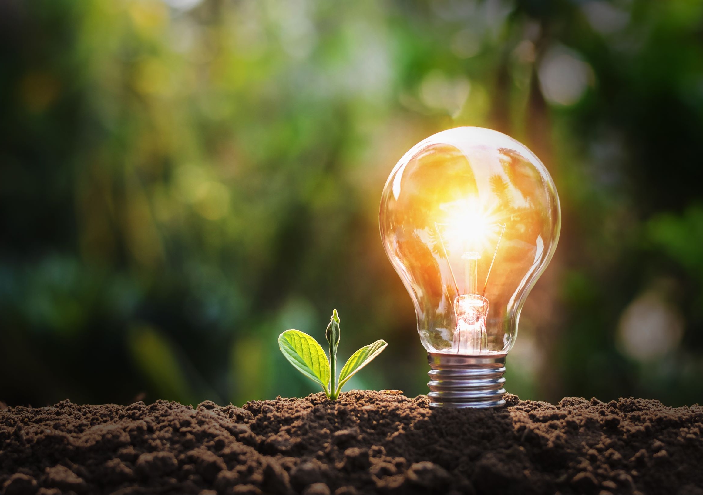 NUW Energy will explore the challenges of climate, energy and the environment to find sustainable, economic solutions for society. Image: Shutterstock