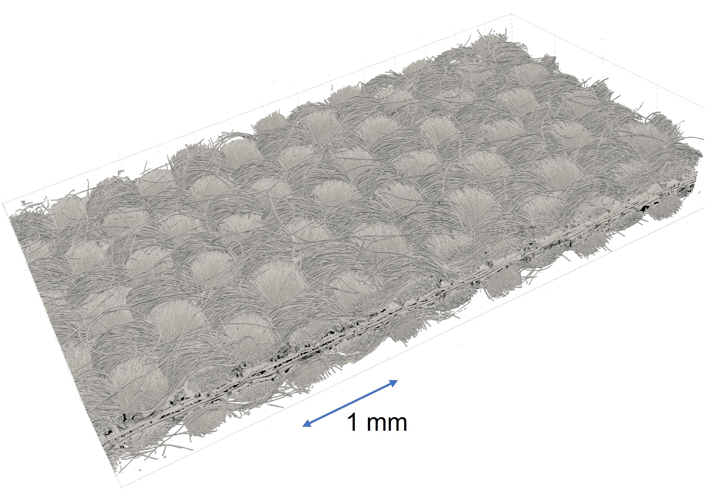 3D X-ray scan of a hydrogen fuel cell, showing carbon paper weaves, membrane and catalysts (in black). Scan provided by Dr Quentin Meyer